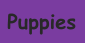 Puppies